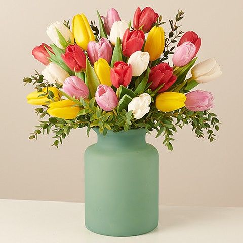 Arcobaleno: Tulipani Multicolore
